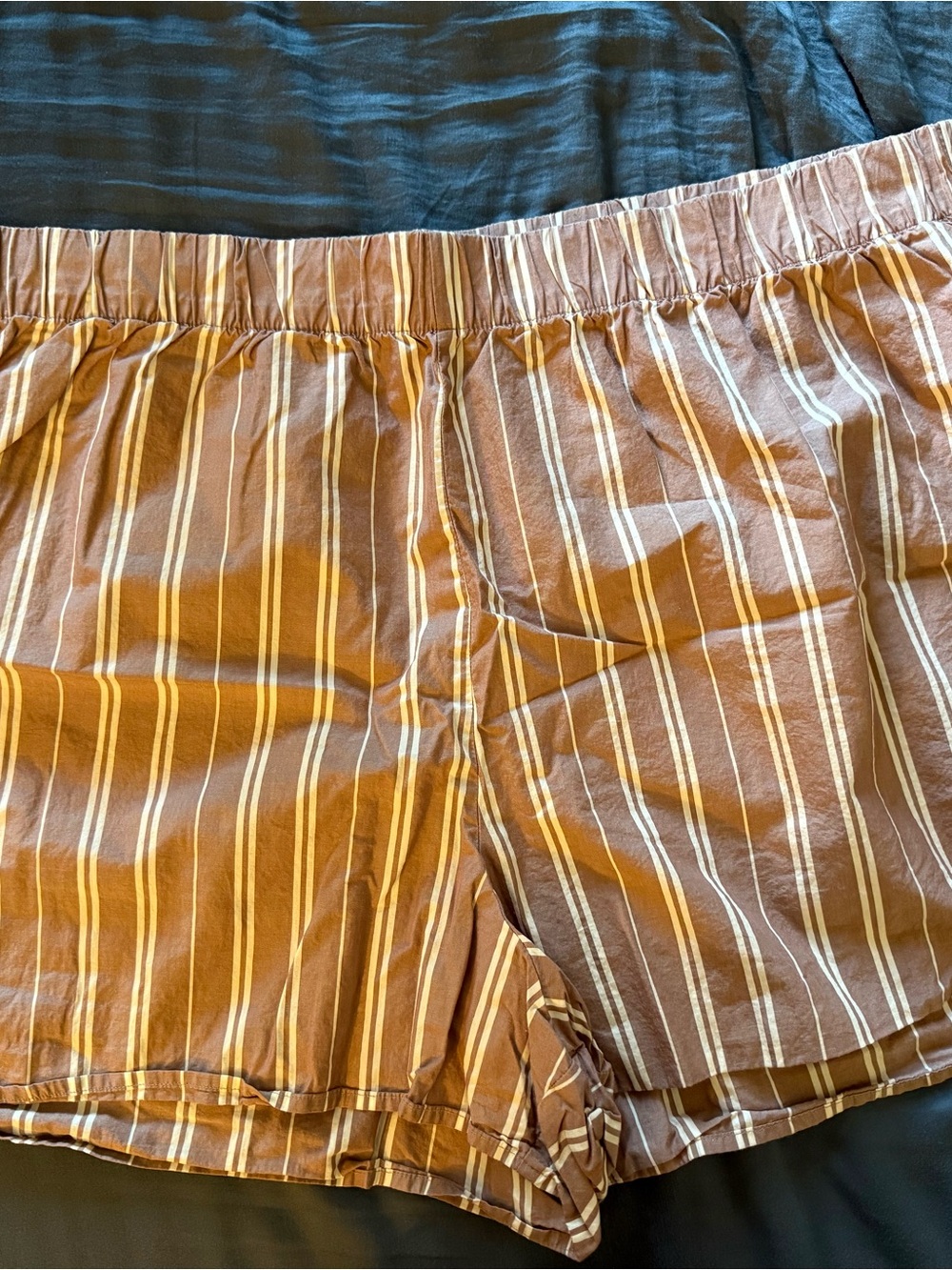 American Eagle Striped Casual Shorts